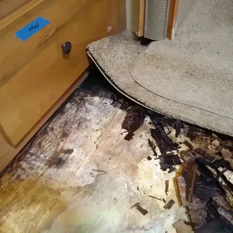 Wood Floor Water Damage in North Lawndale, IL